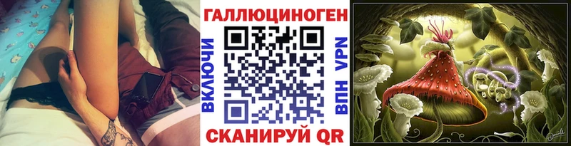 Псилоцибиновые грибы Psilocybe  продажа наркотиков  Куса 