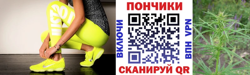Бошки Шишки сатива  Куса 